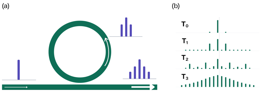 Kerr comb and time evolution_0